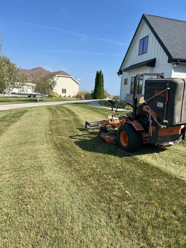 a mower with a thatching attachment