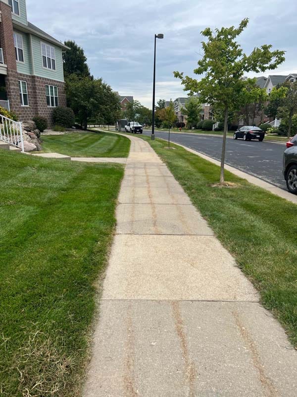a sidewalk with grass on either side