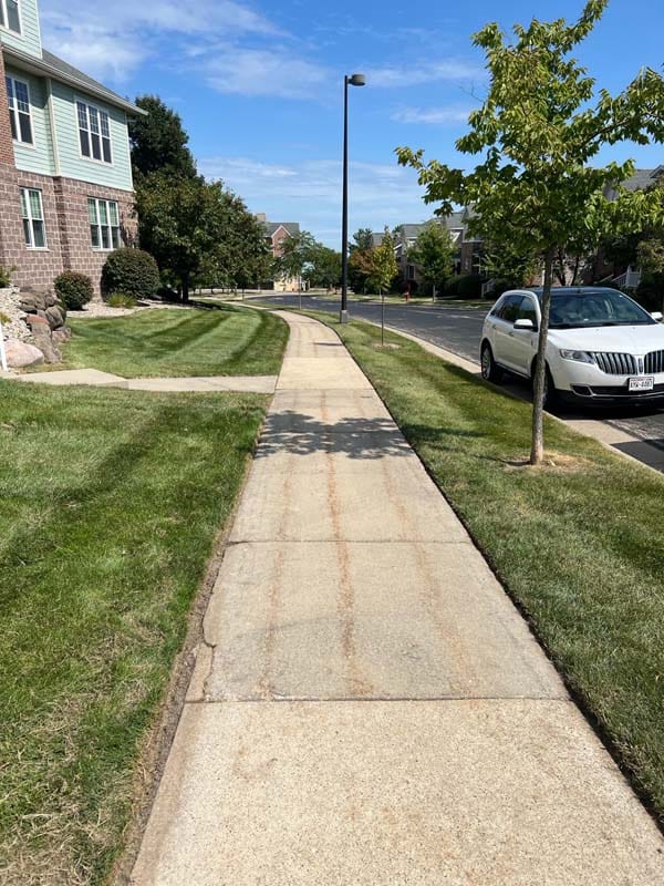 a sidewalk with grass on either side