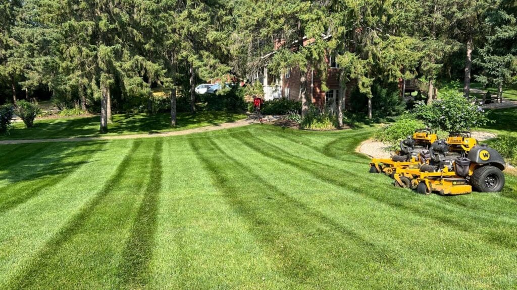 a freshly mowed lawn