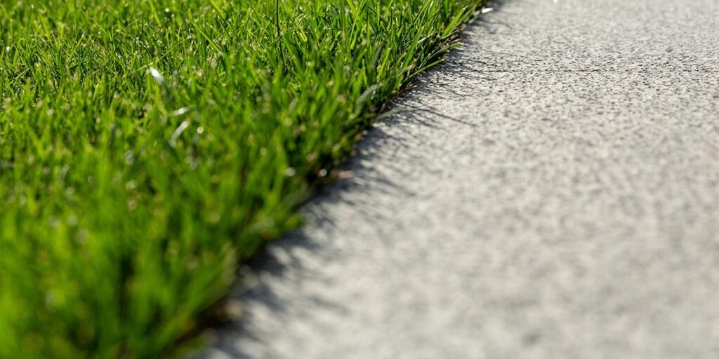 Macro Photo of Green Grass up close