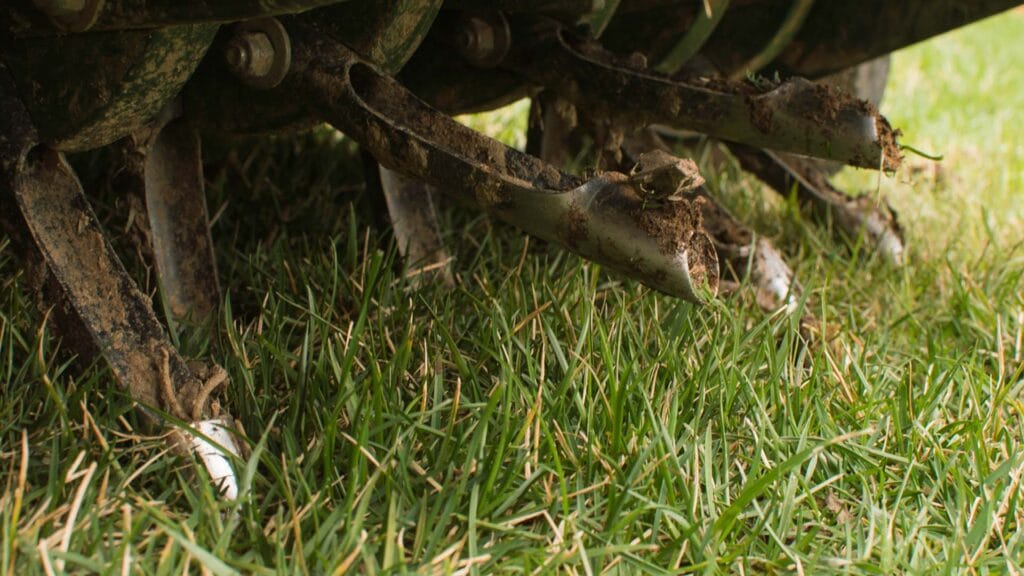 Lawn Aeration Services