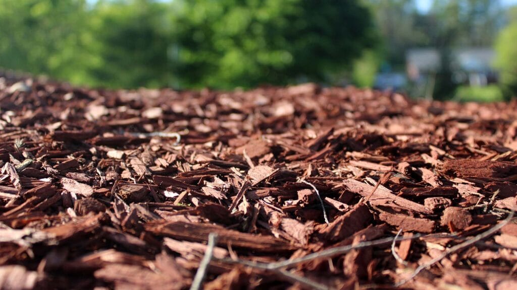 Mulching Services