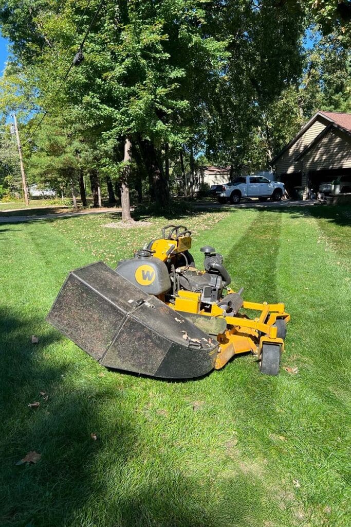 a Lawn mower on a freshly mowed lawn