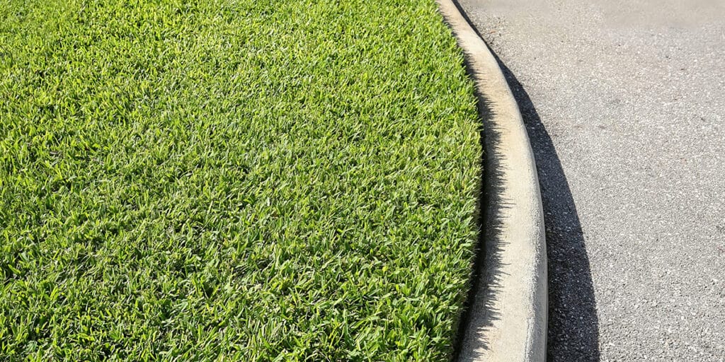 a lawn near a curb