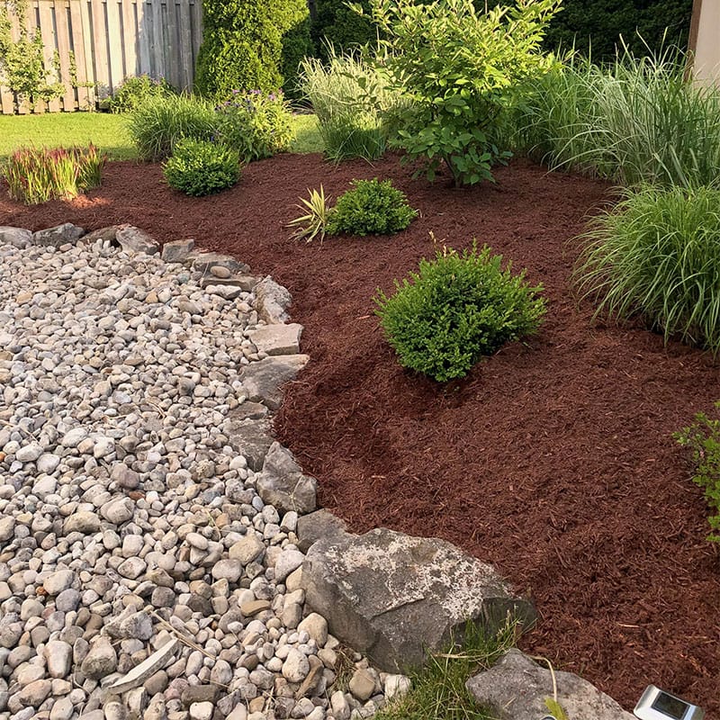 mulching added to a landscaped yard