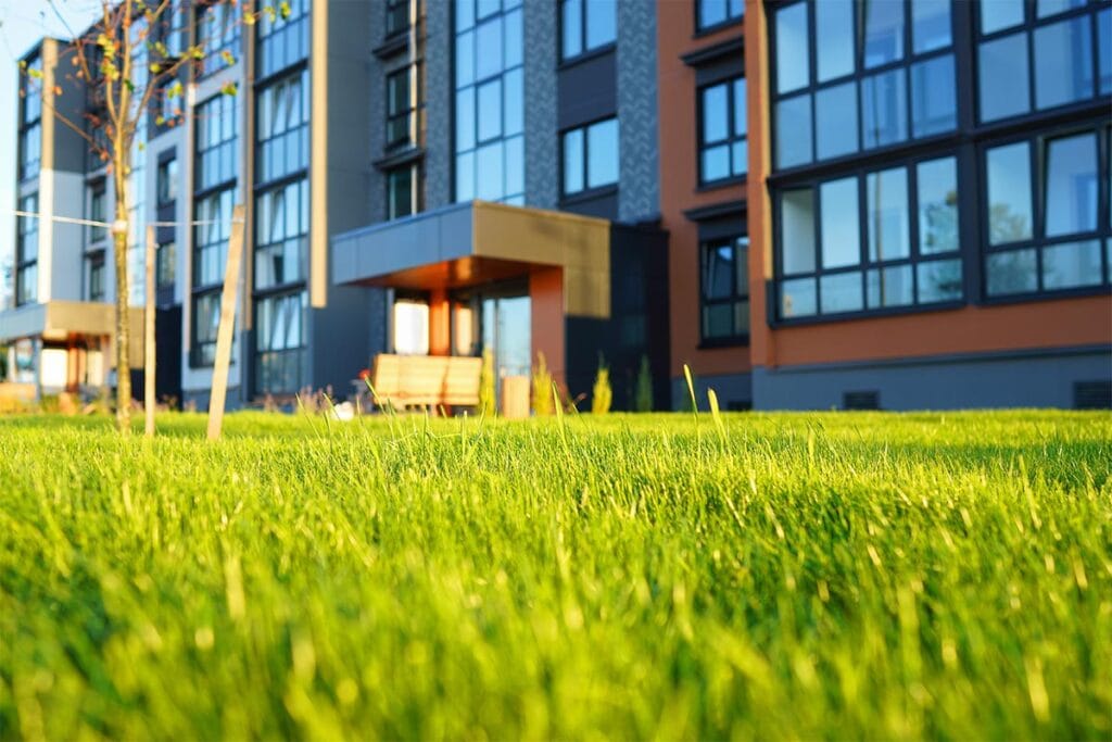 a close up of grass near an apartment building